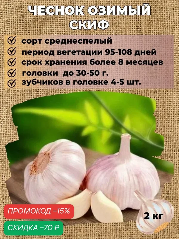 Чеснок озимый на посадку, 2 кг. — Русский сад, скидка по промокоду Яндекс Маркет