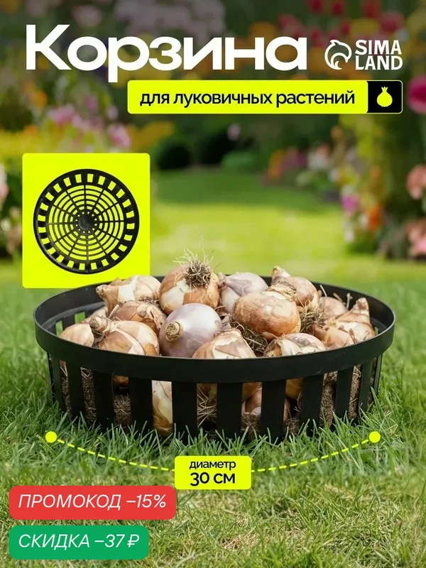 Корзина для посадки луковичных растений, круглая, d = 30 см, h = 8 см, чёрная — Альт-Пласт, скидка по промокоду Яндекс Маркет