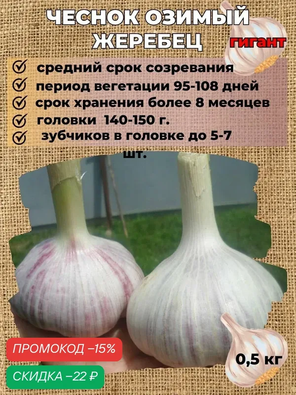 Чеснок озимый на посадку Жеребец 0, 5 кг — Russian blooming garden, скидка по промокоду Яндекс Маркет