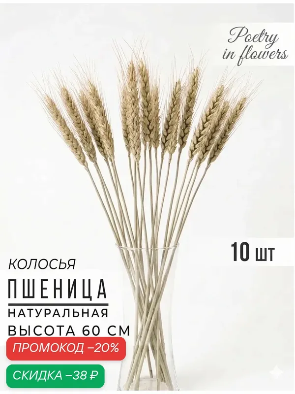 Сухоцветы Сима-ленд «Пшеница», колоски, 10 шт, высота 60 см, бежевый — Сима-ленд, скидка по промокоду Яндекс Маркет