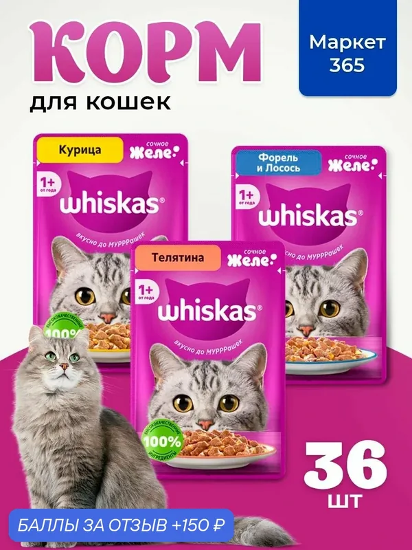Корм для кошек влажный, Whiskas, Набор: курица, телятина, форель и лосось. в желе. 36 шт х 75 г — 150 баллов за отзыв Яндекс Маркет