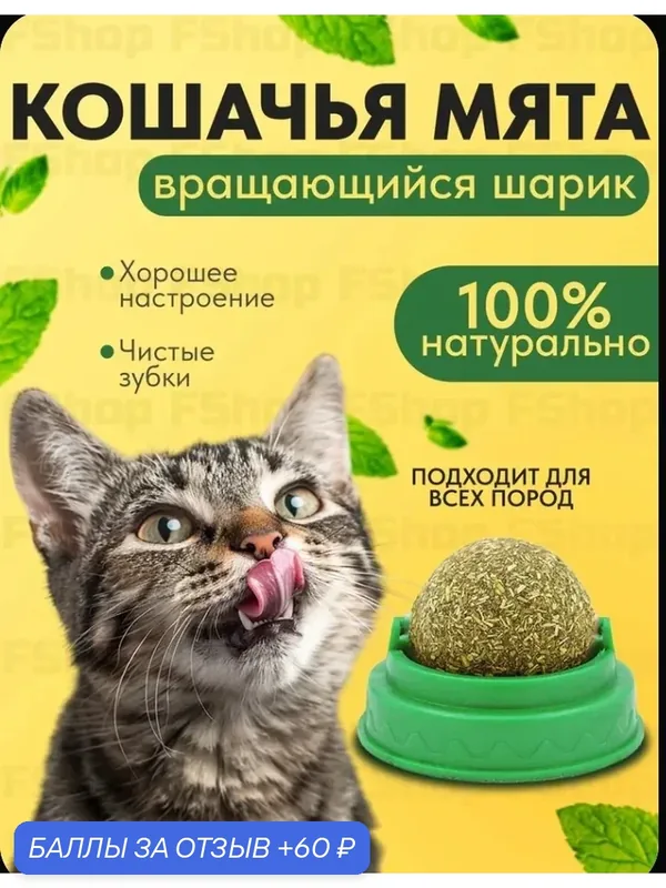 Кошачья мята — 60 баллов за отзыв Яндекс Маркет