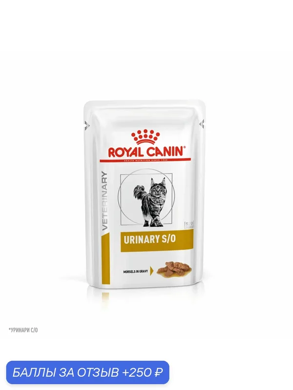 Корм Royal Canin Urinary S/O Feline, для лечения МКБ, влажный, для взрослых кошек, 12шт, 85 г — Royal Canin, 250 баллов за отзыв Яндекс Маркет