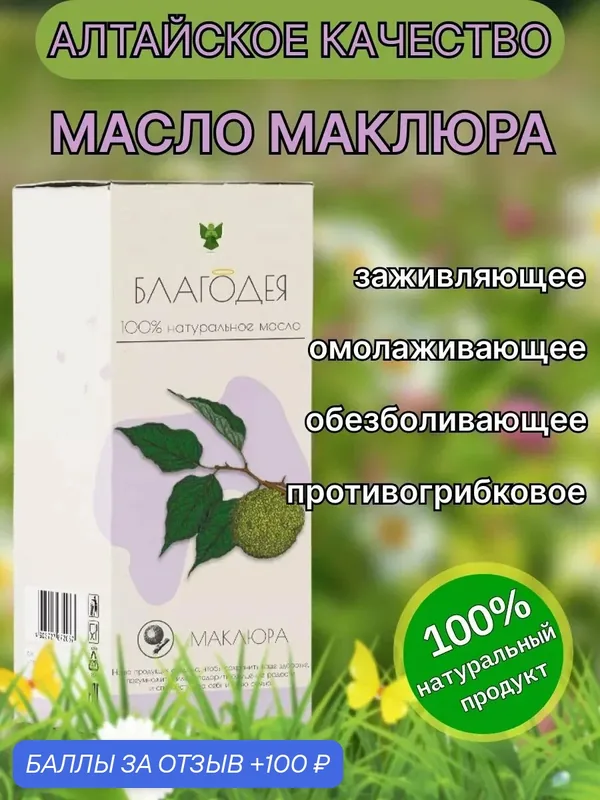 Масло маклюра Благодея-Алтай для суставов, волос, укрепления иммунитета, 100мл — Благодея, 100 баллов за отзыв Яндекс Маркет