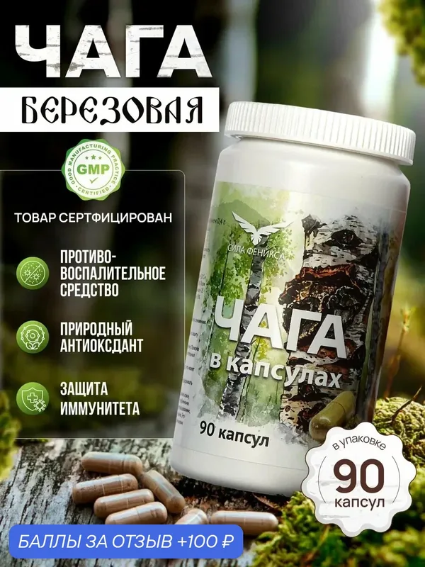 Чага березовая натуральная измельченная в капсулах, гриб чага для иммунитета — СИЛА ФЕНИКСА, 100 баллов за отзыв Яндекс Маркет
