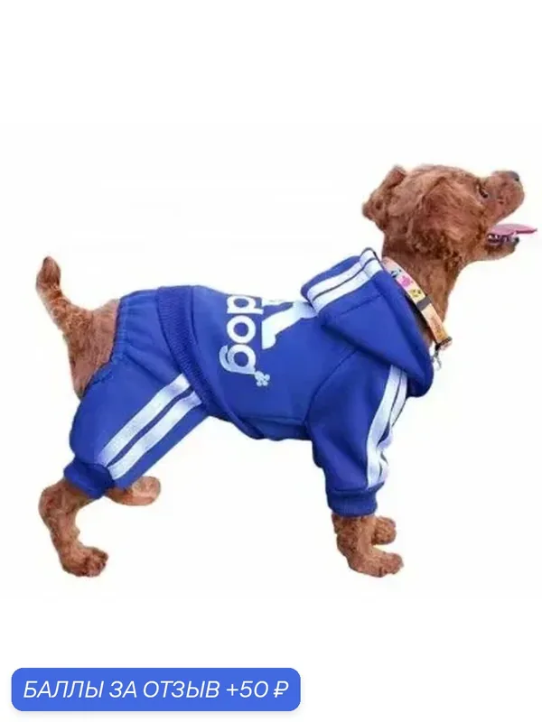 Спортивный костюм «Adidog» для небольшиx пород собак, синий цвет . Размер XXL . — 50 баллов за отзыв Яндекс Маркет
