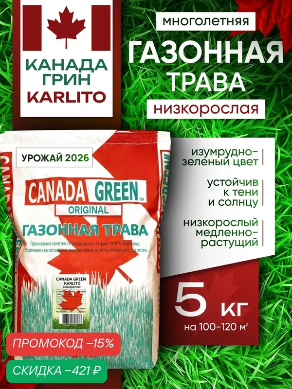 Газонная трава семена Канада Грин Низкорослая Карлито 5 кг / Canada Green Karlito 5 кг / мятлик, овсяница — CANADA GREEN, скидка по промокоду Яндекс Маркет