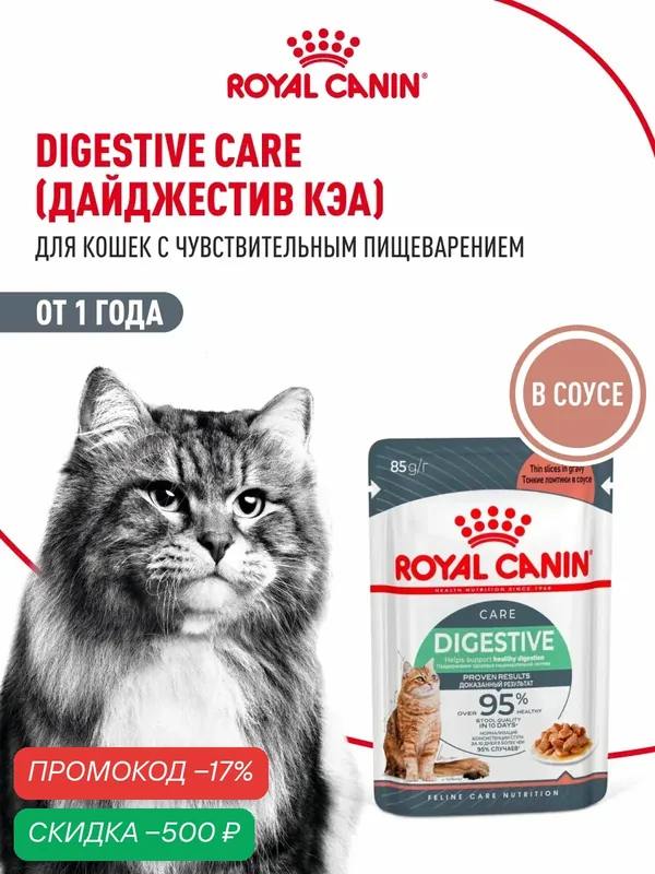 Влажный корм для кошек Royal Canin Digestive Care при чувствительном пищеварении, кусочки в соусе, 28 шт по 85 г — Royal Canin, скидка по промокоду Яндекс Маркет