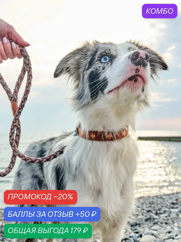 Поводок для собак особой прочности Japan Premium Pet с усиленным светоотражением. Размер М. Цвет коричневый — Japan Premium Pet, промокод и 50 баллов за отзыв Яндекс Маркет