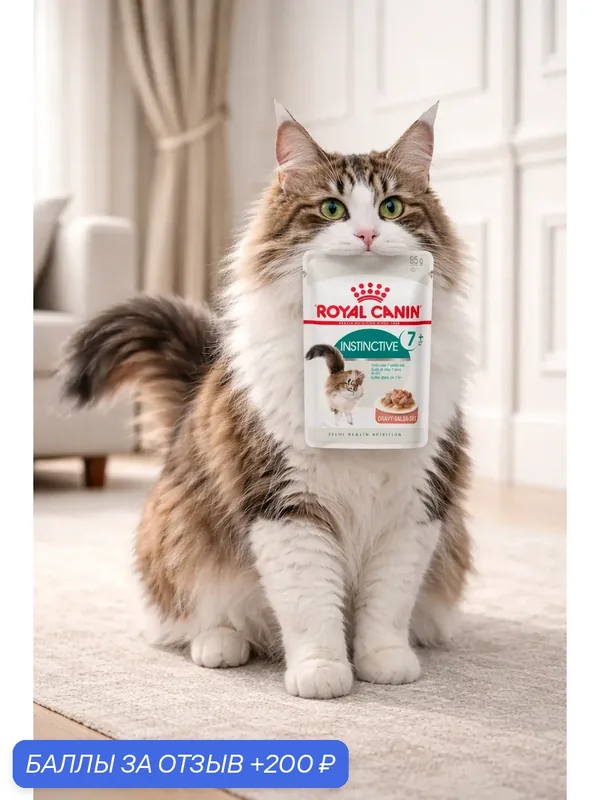 Влажный корм Royal Canin Instinctive 7+ для пожилых кошек старше 7 лет, кусочки в соусе, 85 г х 28 шт — Royal Canin, 200 баллов за отзыв Яндекс Маркет