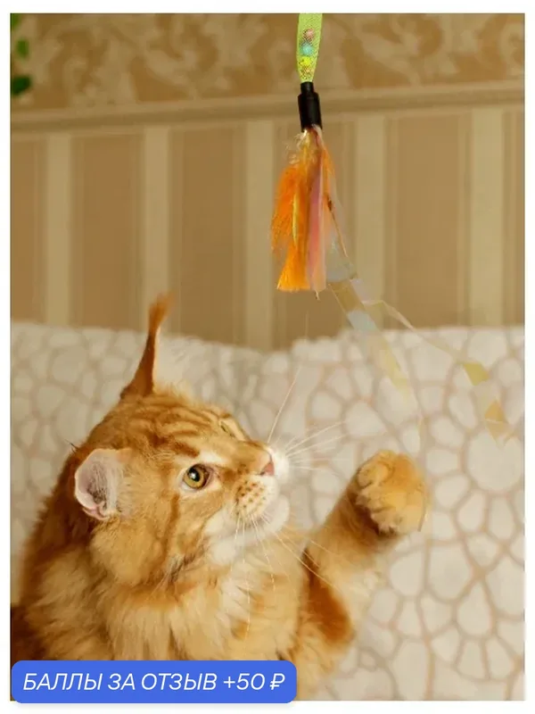 Игрушка для кошек Japan Premium Pet эластичная дразнилка с перьями, ленточками и колокольчиками. — Japan Premium Pet, скидка по промокоду Яндекс Маркет