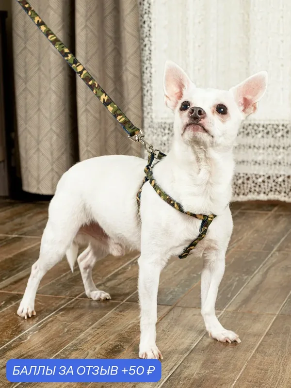 Поводок для собак Japan Premium Pet гибридный в стиле милитари камуфляж. Размер SS — Japan Premium Pet, 50 баллов за отзыв Яндекс Маркет