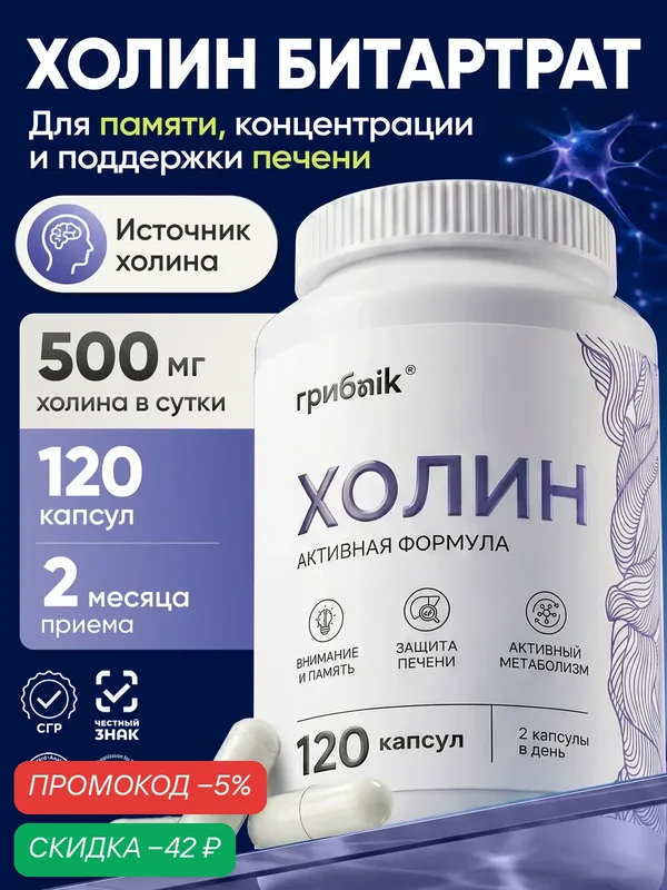 Холин, витамин b4, для печени, мозга и памяти, 120 капсул, грибnik — грибNik, скидка по промокоду Яндекс Маркет