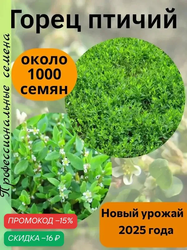 Семена Горец птичий (Спорыш) 1000 штук — СемиНика, скидка по промокоду Яндекс Маркет