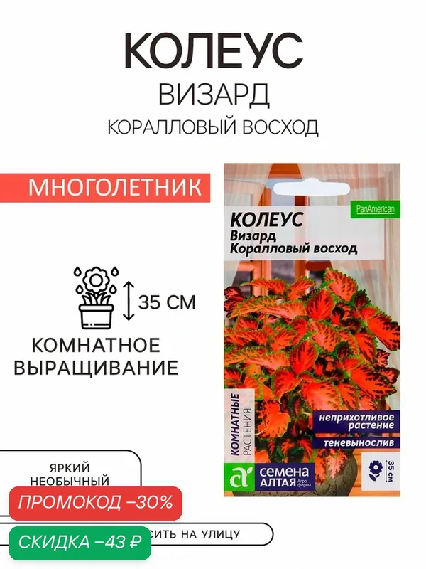 Семена комнатных цветов Колеус "Коралловый Восход", ц/п, 5 шт 2858857 — Семена Алтая, скидка по промокоду Яндекс Маркет