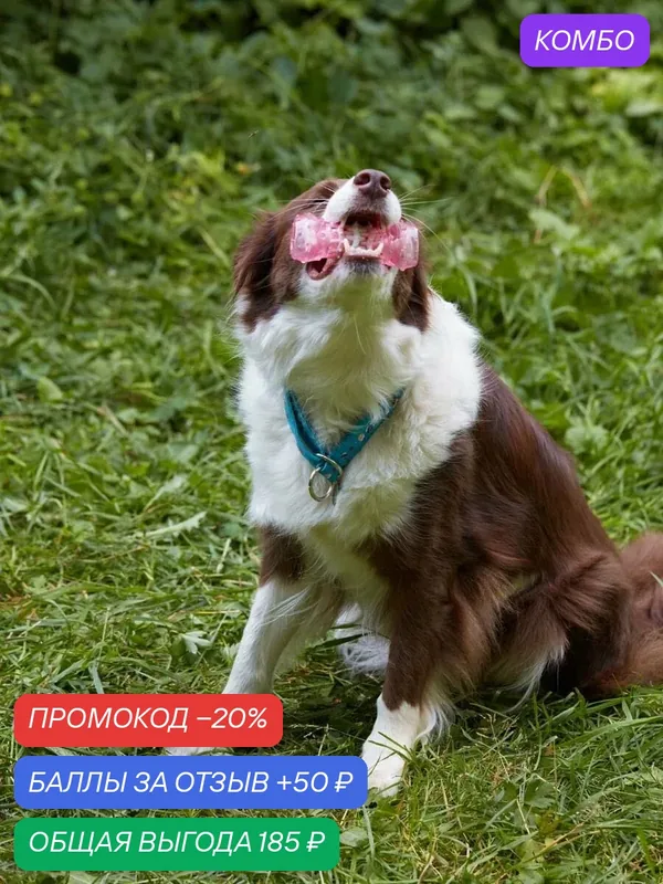 Игрушка для собак Japan Premium Pet трехступенчатая жевательная игрушка для чистки зубов со вкусом копченой курицы, розовая — Japan Premium Pet, промокод и 50 баллов за отзыв Яндекс Маркет