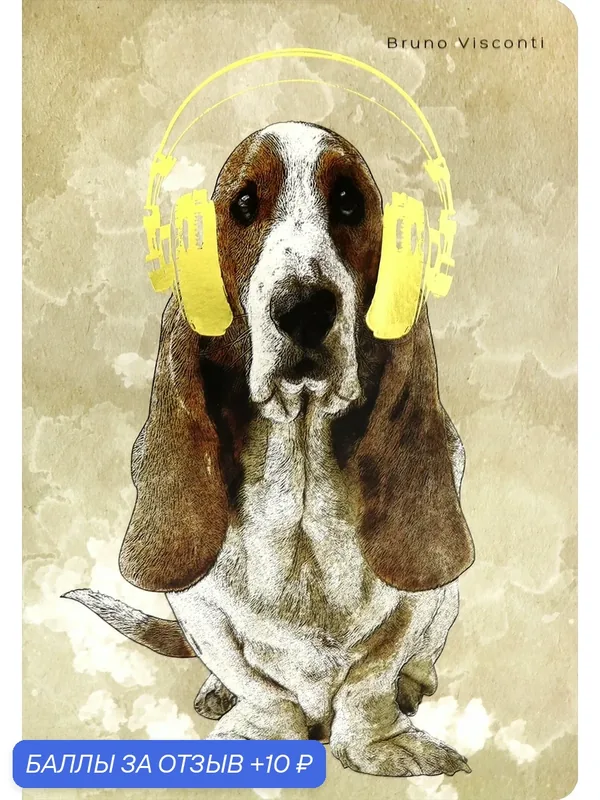 Тетрадь "Basset" (40 листов, клетка) (7-40-001/19) — Bruno Visconti, 10 баллов за отзыв Яндекс Маркет