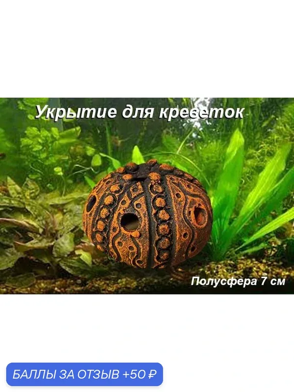 "Полусфера" 7 см. Укрытие для креветок, Тонированная керамика — BarhatcaHandmade, скидка по промокоду Яндекс Маркет