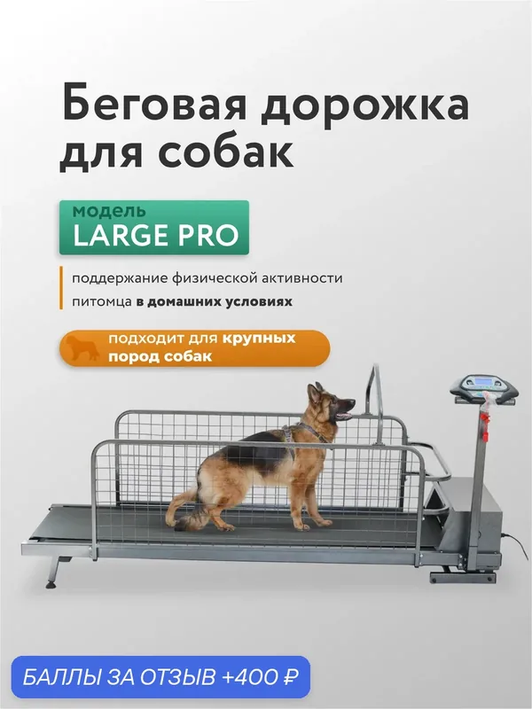 Беговая дорожка wikiRUN "LARGE Pro", для собак, электрическая, 46x200см — 400 баллов за отзыв Яндекс Маркет