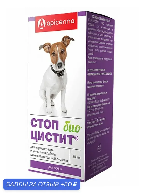 Суспензия для собак Apicenna "Стоп-Цистит", для почек, против цистита, 50мл — Apicenna, 50 баллов за отзыв Яндекс Маркет