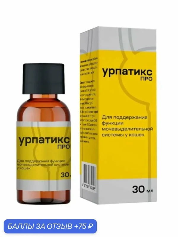 Кормовая добавка для кошек Экофарм Сервис урпатикс про для поддержки функции органов мочевыделительной системы, 30 мл — ЭкоФарм Сервис, скидка по промокоду Яндекс Маркет