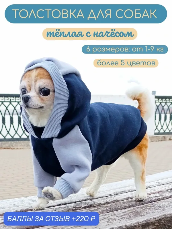 Тёплая толстовка для собак Элегантный Кот, Лунная ночь, размер XS — Элегантный Хвост, 220 баллов за отзыв Яндекс Маркет