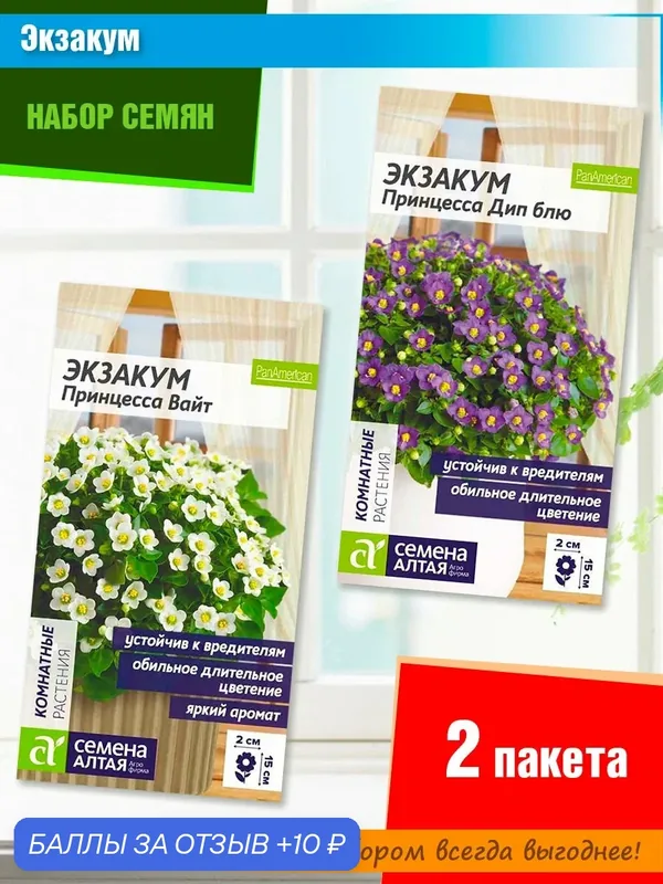 Набор семян комнатных цветов "Экзакум" от Семена Алтая (2 пачки) — Семена Алтая, 10 баллов за отзыв Яндекс Маркет