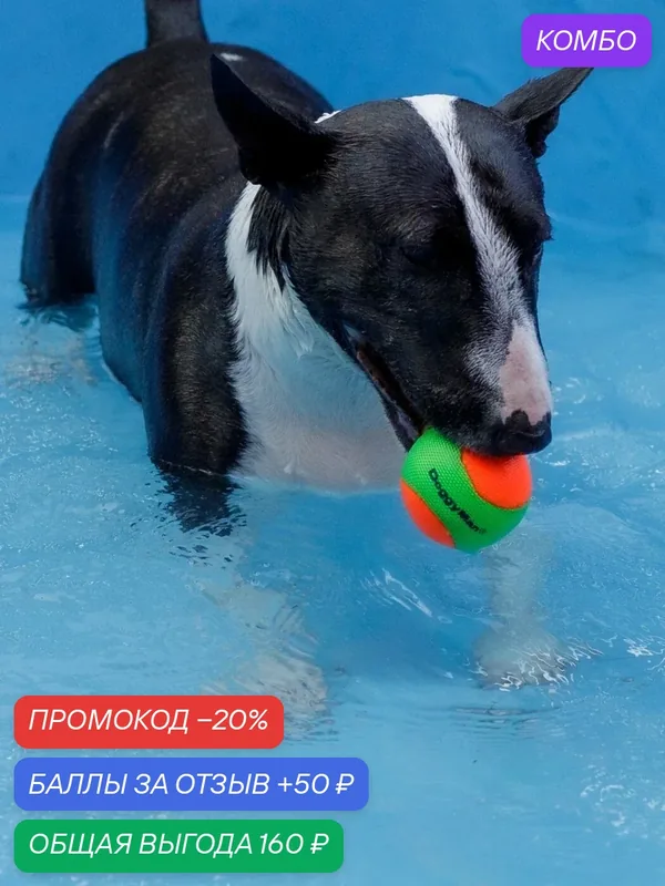 Игрушка для собак Japan Premium Pet непрокусываемый мячик . Для миниатюрных и малых пород. Набор 2 шт. — Japan Premium Pet, промокод и 50 баллов за отзыв Яндекс Маркет