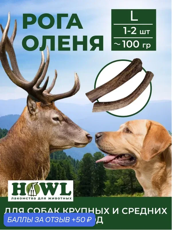 Рога северного оленя для собак больших пород (размер L, 17-20 см.) 80-110 гр. HOWL — HOWL, 50 баллов за отзыв Яндекс Маркет