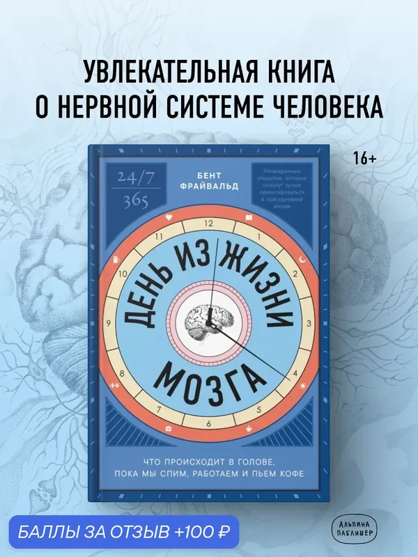 День из жизни мозга: Что происходит в голове, пока мы спим, работаем и пьем кофе — Альпина Паблишер, 100 баллов за отзыв Яндекс Маркет