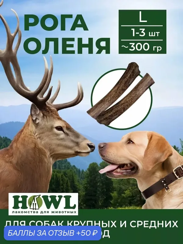 Рога северного оленя для больших и средних пород (размер L, 17-20 см.) 300 гр. HOWL — HOWL, 50 баллов за отзыв Яндекс Маркет