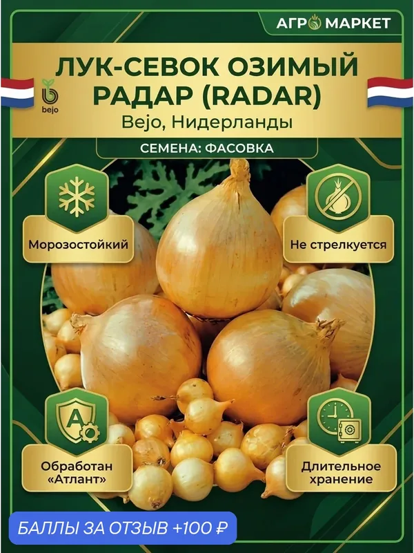Семена Лука - озимого Радар (Radar) 10 грамм, Bejo, Голландия — Bejo, 100 баллов за отзыв Яндекс Маркет