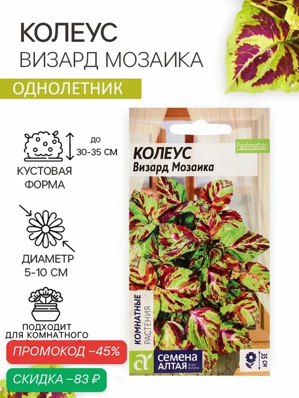 Семена цветов Колеус "Визард", мозаика, Сем. Алт, ц/п, 5 шт 7649634 — Семена Алтая, скидка по промокоду Яндекс Маркет