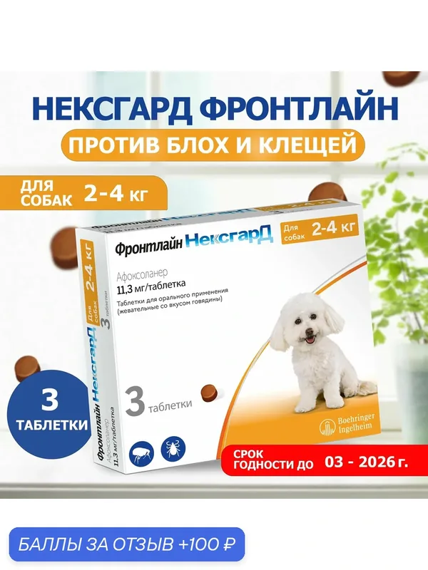 Нексгард фронтлайн от клещей и блох для собак весом 2-4 кг, жевательная таблетка — 100 баллов за отзыв Яндекс Маркет