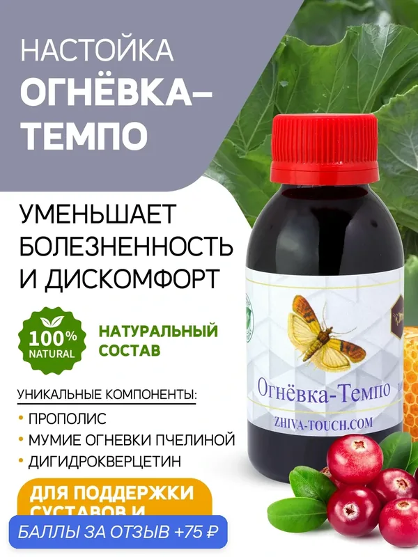 Настойка Огневка - Темпо - для суставов и связок, боль в спине и мышцах, 100 мл. — Жива, 75 баллов за отзыв Яндекс Маркет