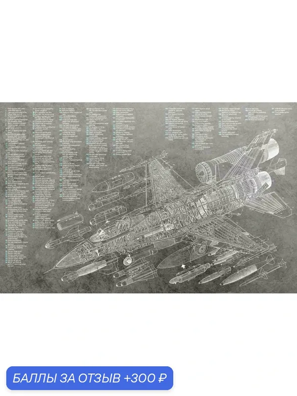 Фотообои Самолет чертеж 7-779-M-Флекс 270 x 300 см (ВхШ) Бесшовные, флизелиновые, влагостойкие обои MasterFresok — Мастер Фресок, 300 баллов за отзыв Яндекс Маркет