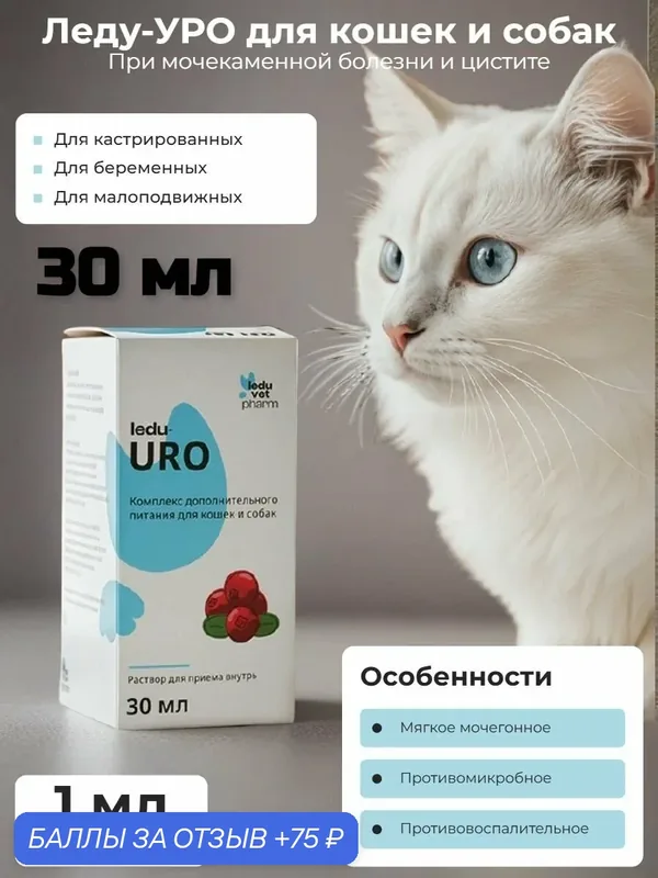 Кормовая добавка при мочекаменной болезни и цистите для кошек и собак Леду-УРО, 30 мл — 75 баллов за отзыв Яндекс Маркет