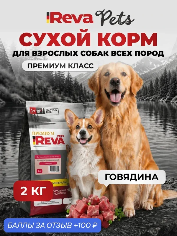 Сухой корм Reva Pets полнорационный для собак всех пород с говядиной, 2 кг — REVA PETS, 100 баллов за отзыв Яндекс Маркет