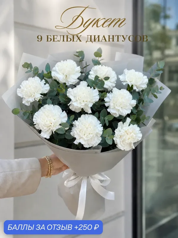 Букет цветов 9 белых диантусов с эвкалиптом с доставкой за 1 час, живые цветы премиум, монобукет — Цветочки, 250 баллов за отзыв Яндекс Маркет