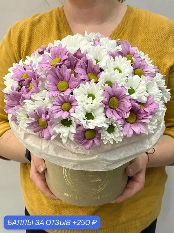 Коробка из кустовых хризантем Romashka FLOWERS "Долоресс", высота до 35см, цветы без декора — Romashka, 250 баллов за отзыв Яндекс Маркет