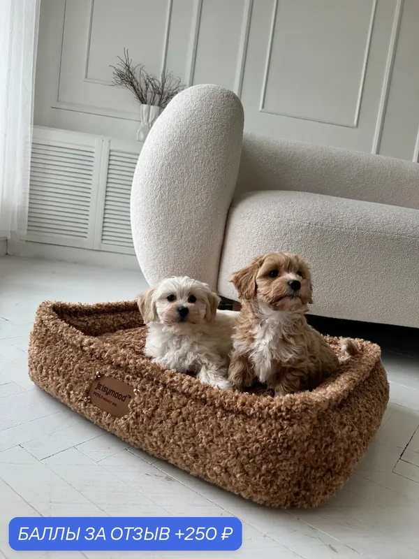 Лежанка для животных FOR_PETS_JEISYMOOD TEDDY для собак прямоугольная, съемная, коричневая — JEISYMOOD, 250 баллов за отзыв Яндекс Маркет