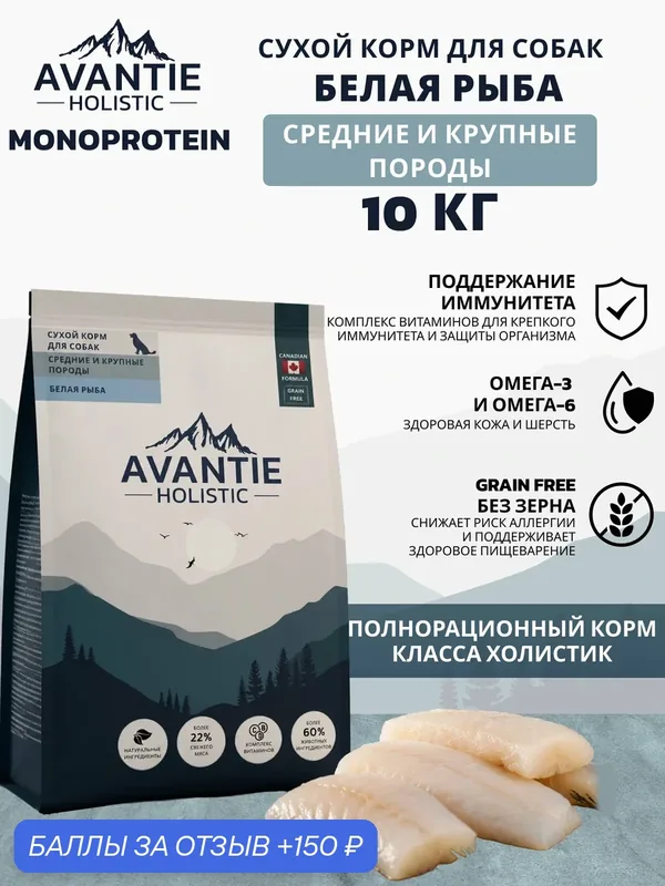 Avantie Holistic Monoprotein Сухой корм для собак средних и крупных пород, Белая рыба 10 кг — AVANTIE, 150 баллов за отзыв Яндекс Маркет