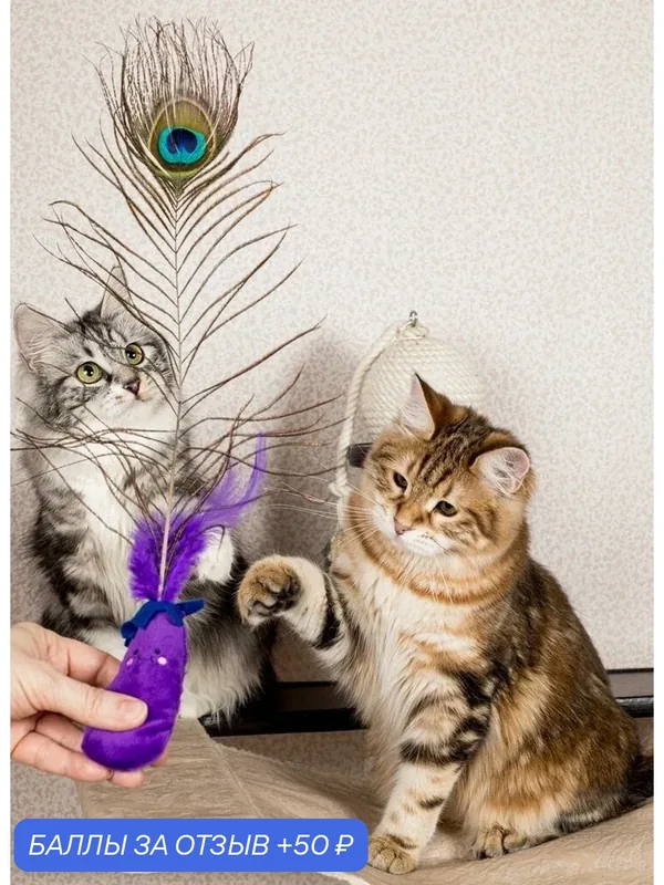 Игрушка для кошек Japan Premium Pet Дразнилка с павлиньим пером и кошачьей мятой, фиолетовая — Japan Premium Pet, скидка по промокоду Яндекс Маркет