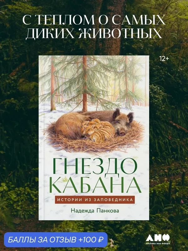 Книга "Гнездо кабана: Истории из заповедника" / Панкова Надежда — Альпина нон-фикшн, 100 баллов за отзыв Яндекс Маркет