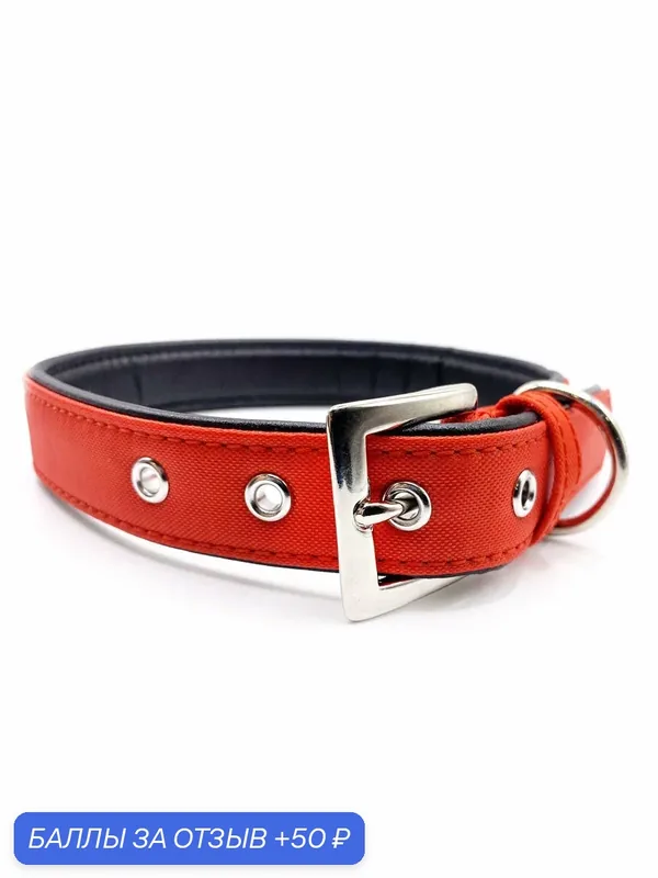 Нейлоновый ошейник Japan Premium Pet DAISKI для собак, красный, размер M — Japan Premium Pet, 50 баллов за отзыв Яндекс Маркет