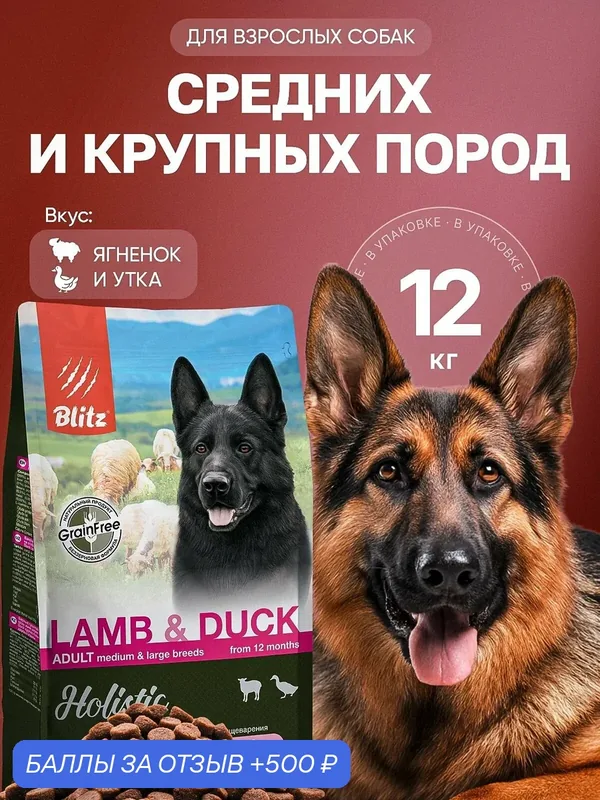 Сухой корм Blitz Holistic, для взрослых собак средних и крупных пород, ягненок/утка, 12 кг — Blitz, 500 баллов за отзыв Яндекс Маркет