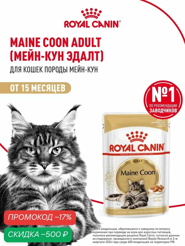 Влажный корм для кошек Royal Canin Adult для породы мейн кун кусочки в соусе, 28 шт по 85 г — Royal Canin, скидка по промокоду Яндекс Маркет