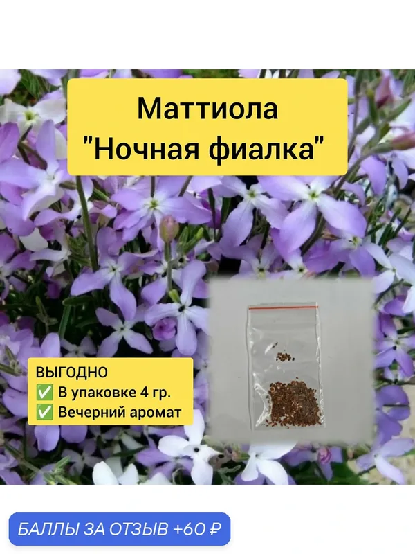 Семена маттиолы "Ночная фиалка", 4 г, для улицы, многолетние, аромат, высота 20 см — 60 баллов за отзыв Яндекс Маркет
