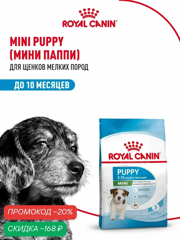 Сухой корм для щенков Royal Canin Mini Puppy для мелких пород, 800 г — Royal Canin, скидка по промокоду Яндекс Маркет