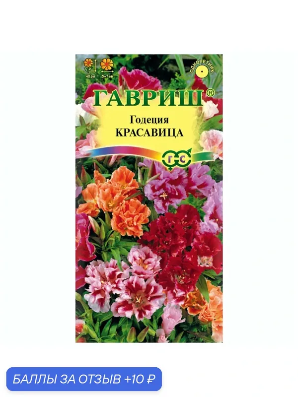 Семена Годеция Красавица махровая смесь гавриш 0, 1г, для дачи, сада, огорода и на рассаду — Гавриш, 10 баллов за отзыв Яндекс Маркет